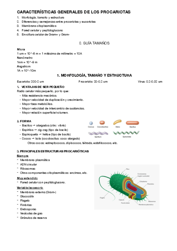 Miniatura del documento 3.pdf