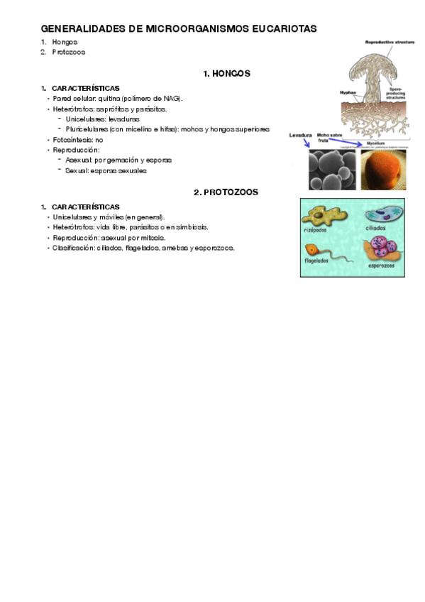 Miniatura del documento 7.pdf