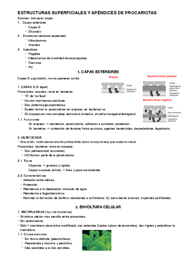 Miniatura del documento 4.pdf