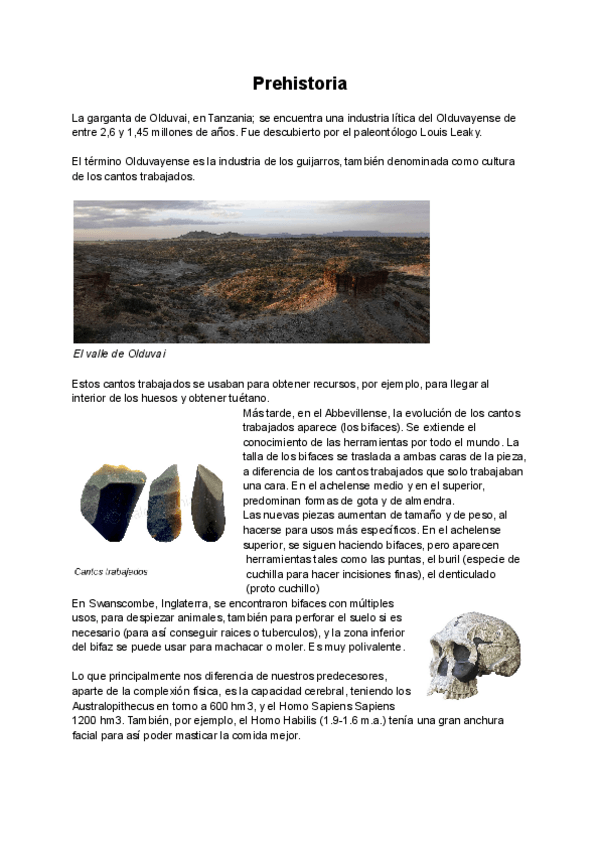 Miniatura del documento Introduccion.pdf