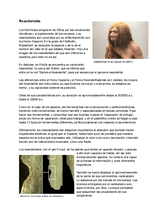 Miniatura del documento Neandertales.pdf