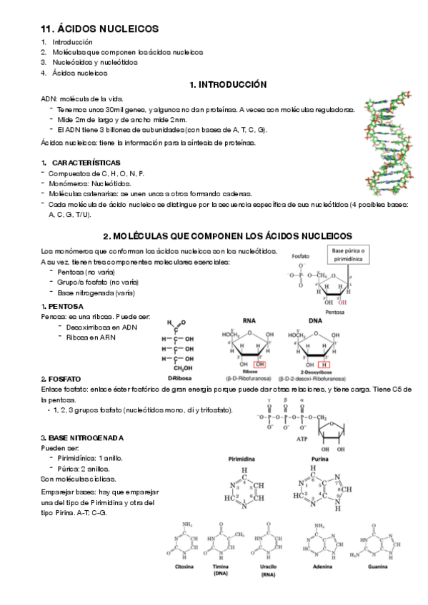Miniatura del documento 11.pdf