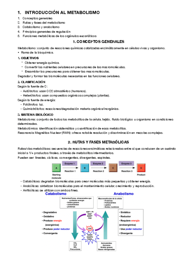 Miniatura del documento 1.pdf