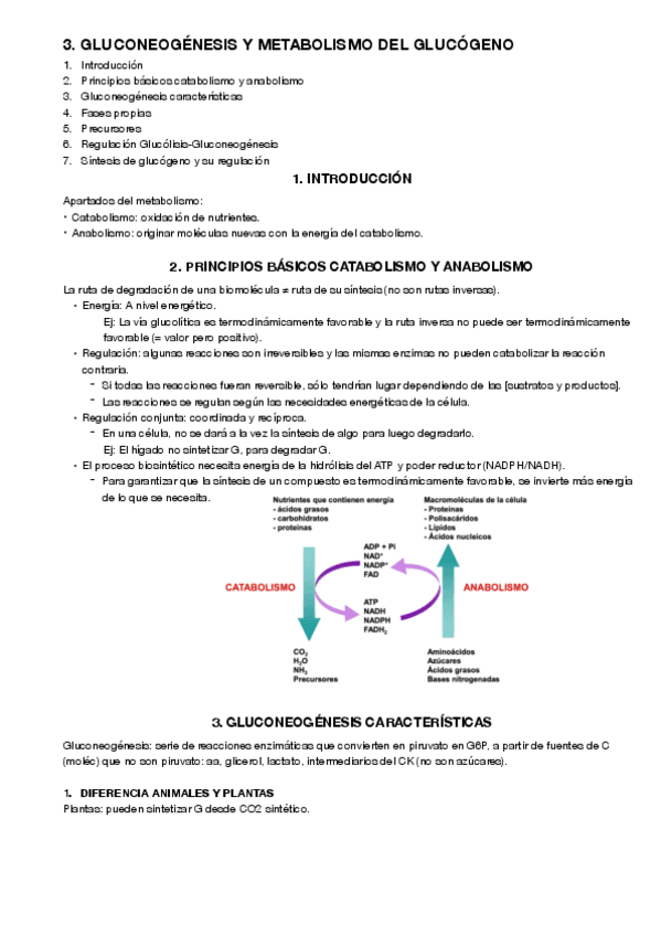Miniatura del documento 3.pdf