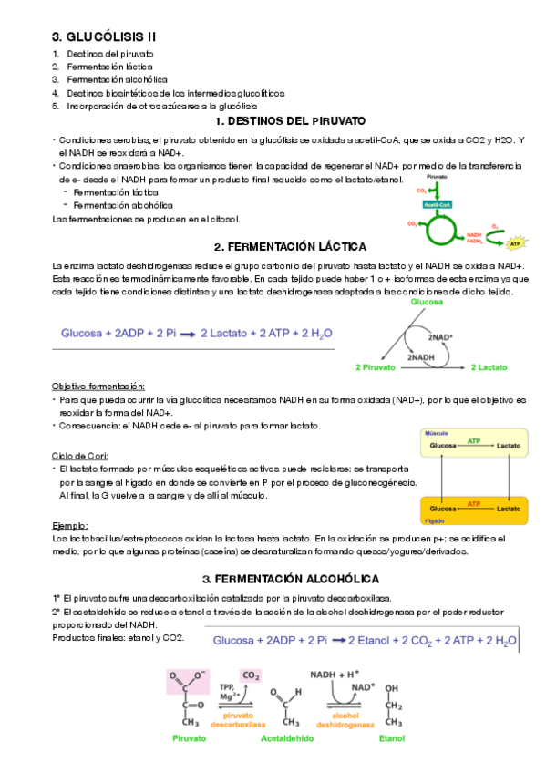 Miniatura del documento 3.pdf