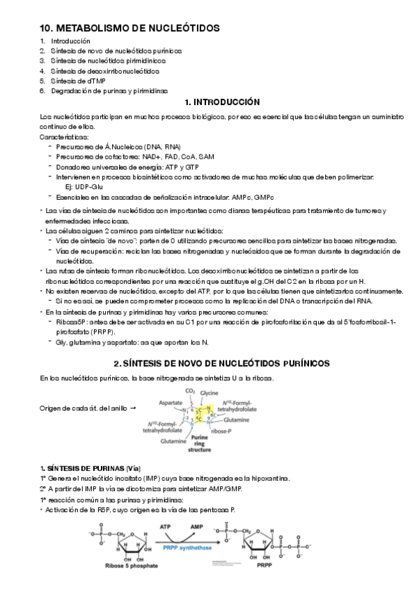 Miniatura del documento 10.pdf