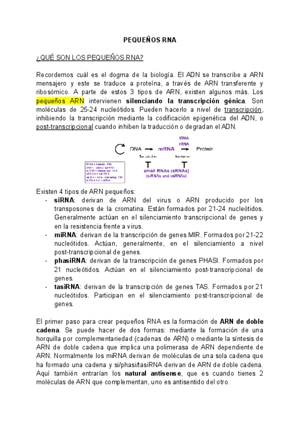 Miniatura del documento T3.1-PEQUENOS-RNA.pdf