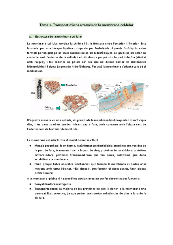 Miniatura del documento tot-fisiologia-FCH-I.pdf