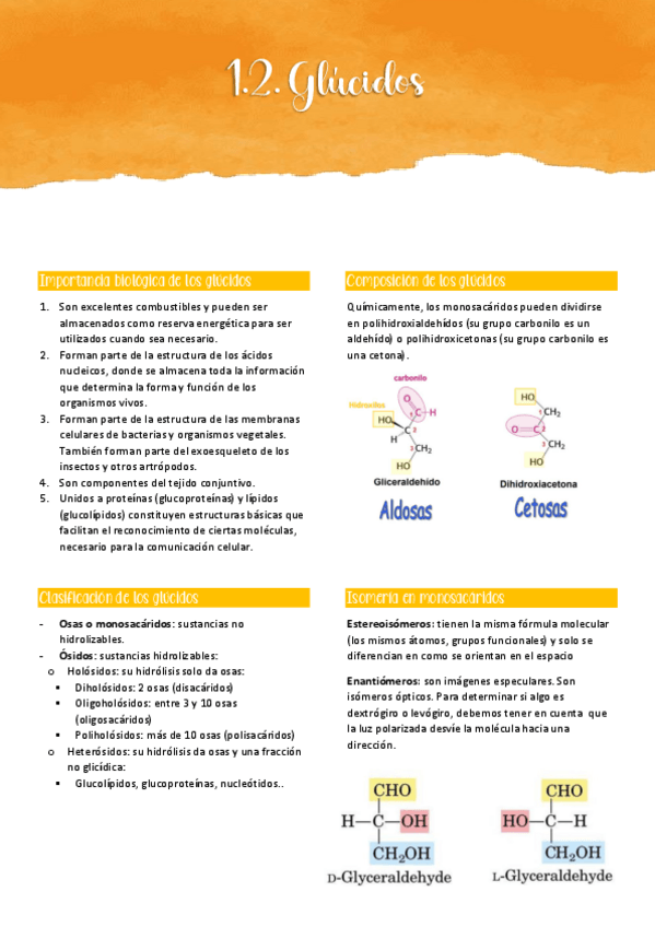 Miniatura del documento 1.2. GLÚCIDOS.pdf