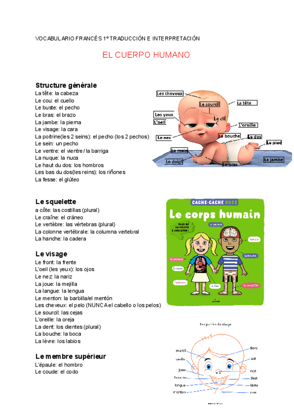 Miniatura del documento Vocabulario-el-cuerpo-humano-Frances-1o-TeI.pdf