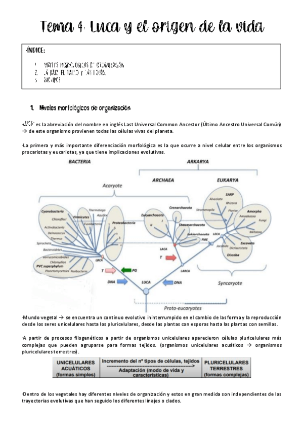 Miniatura del documento Tema-4-botanica-.pdf