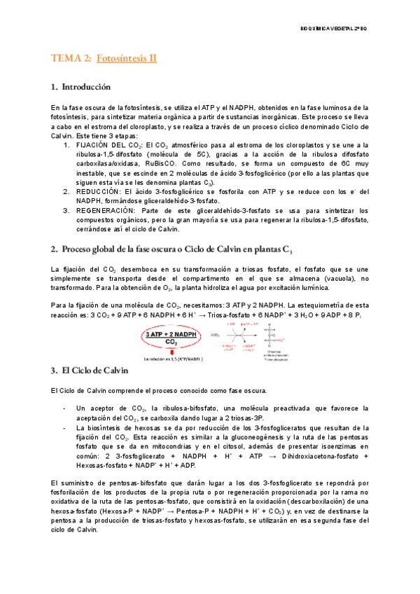 Miniatura del documento TEMA-2-Vegetal.pdf