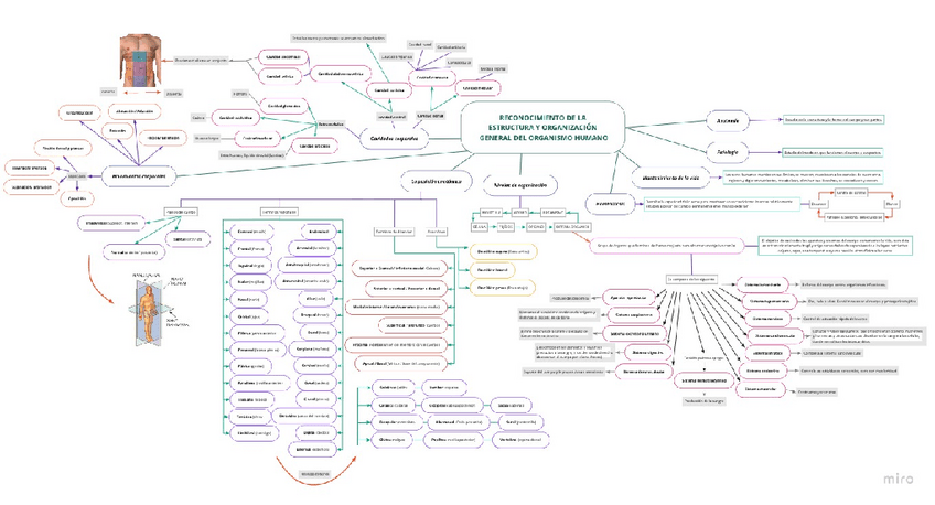 Miniatura del documento mapa-conceptual-tema-1.pdf