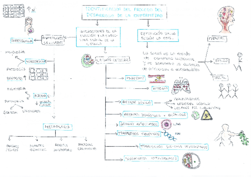 Miniatura del documento Mapa-conceptual-Fisio-Tema-3.pdf