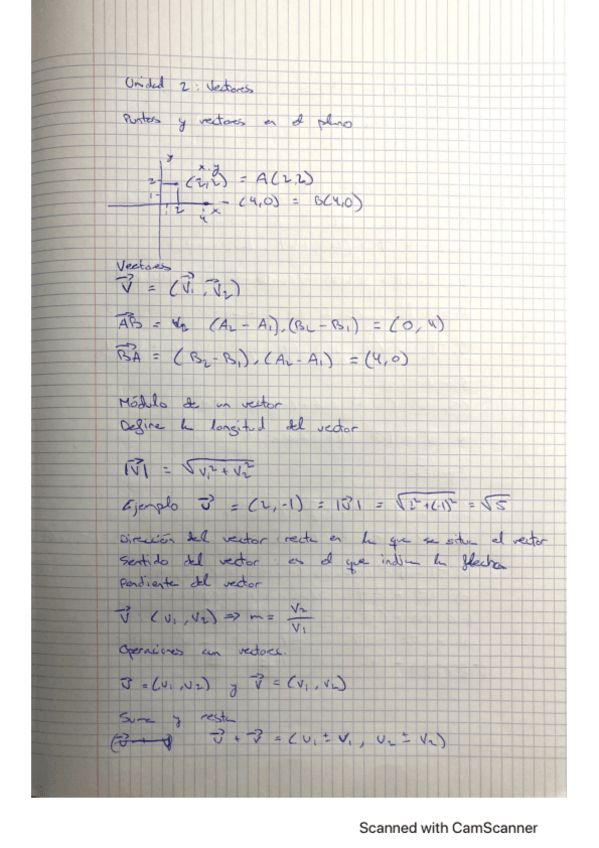 Miniatura del documento Los-Vectores.pdf