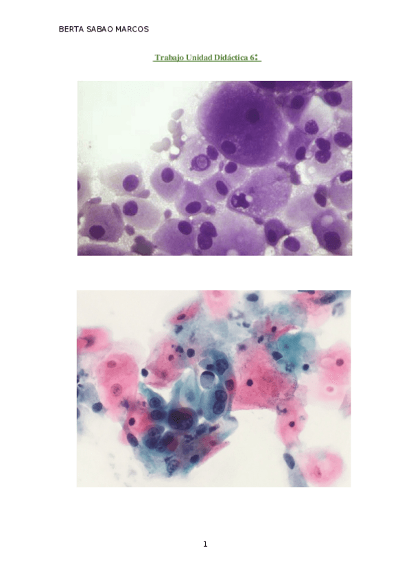 Miniatura del documento Trabajo-Unidad-Didactica-6.docx