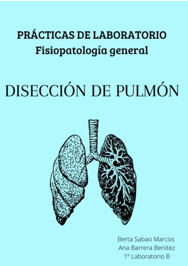 Miniatura del documento Practica-diseccion-pulmones-fisio.pdf