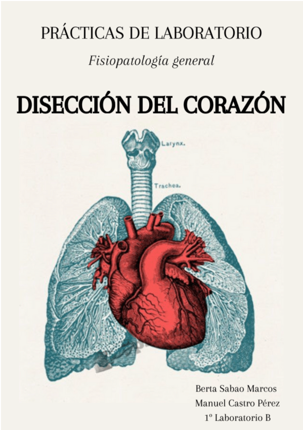 Miniatura del documento Informe-diseccion-corazon.pdf