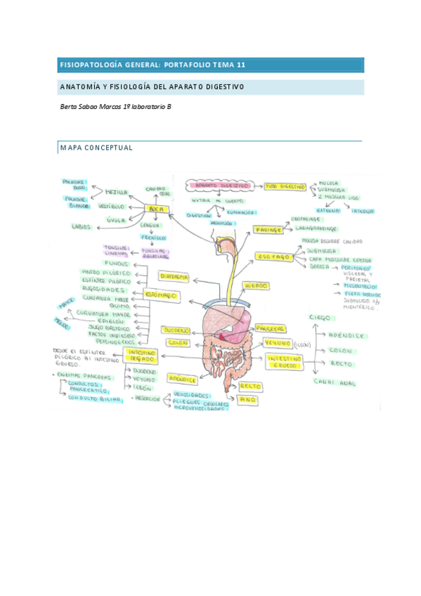 Miniatura del documento FISIOPATOLOGIA-GENERAL-portafolio-tema-11.pdf