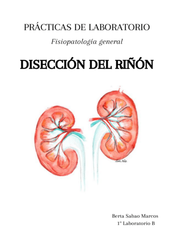 Miniatura del documento Practicas-diseccion-rinon-Fisiopatologia-general.pdf