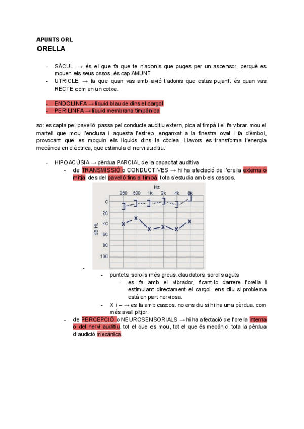 Miniatura del documento Apunts-ORELLA.pdf