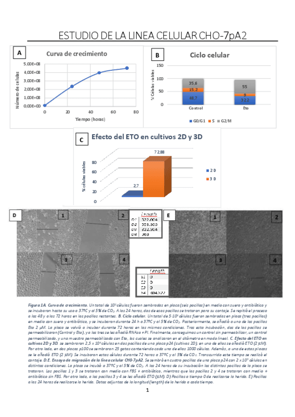 Miniatura del documento Informe-practicas.pdf