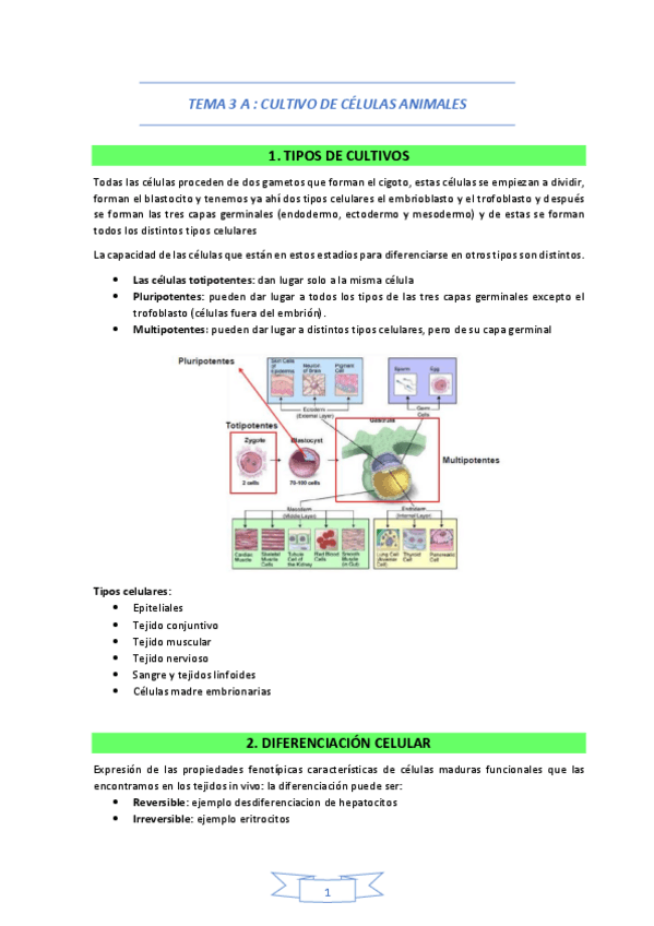Miniatura del documento TEMA-3-A.pdf