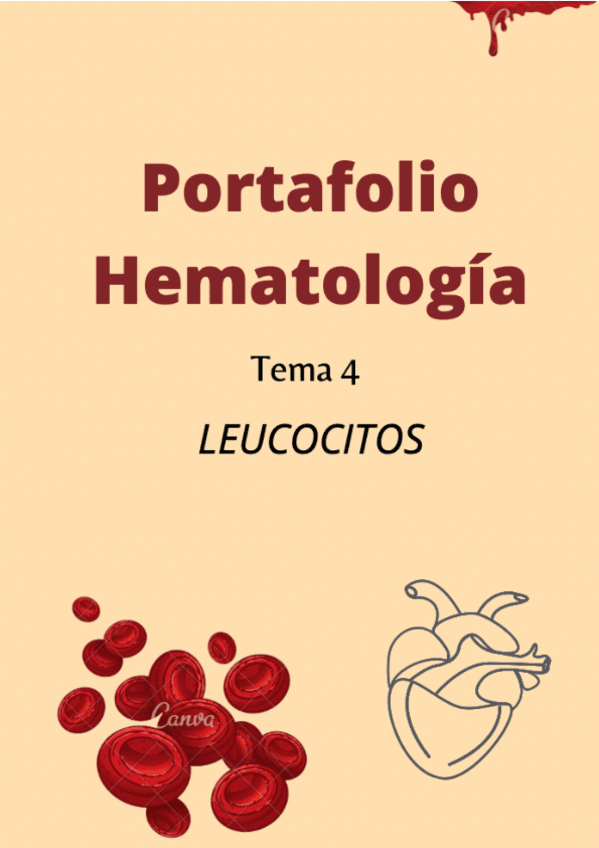 Miniatura del documento Portafolio-hematologia-t4-Berta-Sabao-T4-1.pdf