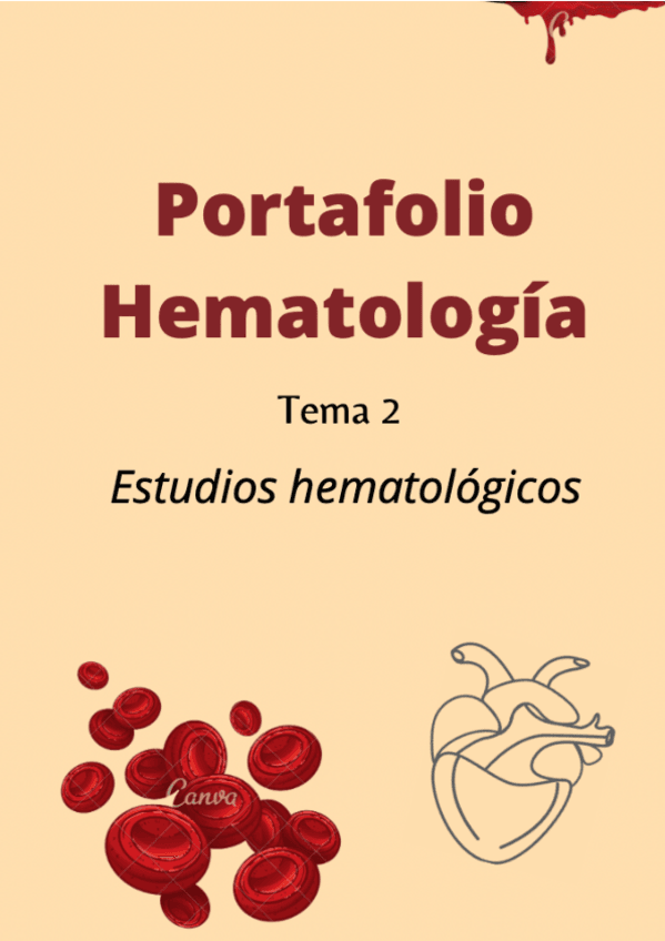 Miniatura del documento Portafolio-tema-2-Berta-Sabao-Marcos-1.pdf