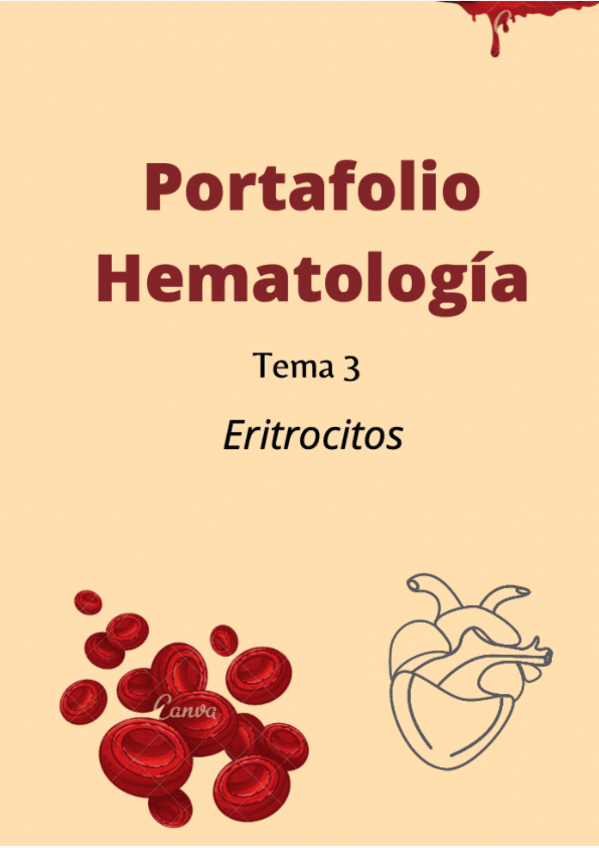 Miniatura del documento Portafolio-tema-3-Hemato-Berta-1.pdf