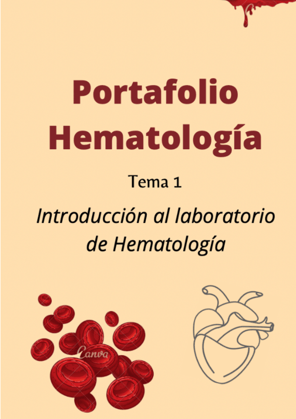 Miniatura del documento Portafolio-tema-1-Berta-Sabao-hematologia-1.pdf