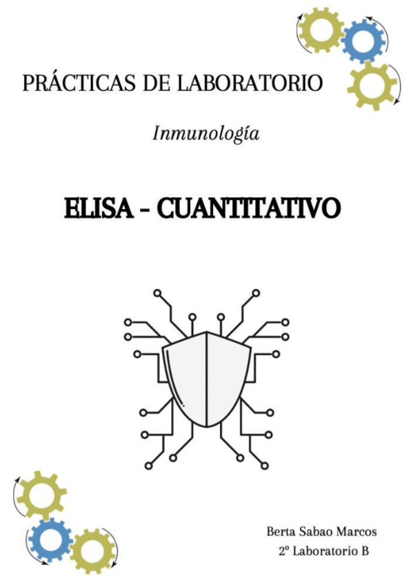 Miniatura del documento Informen-ELISA-Berta-Sabao.pdf