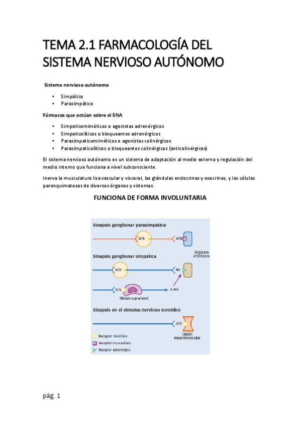 Miniatura del documento TEMA-2.pdf