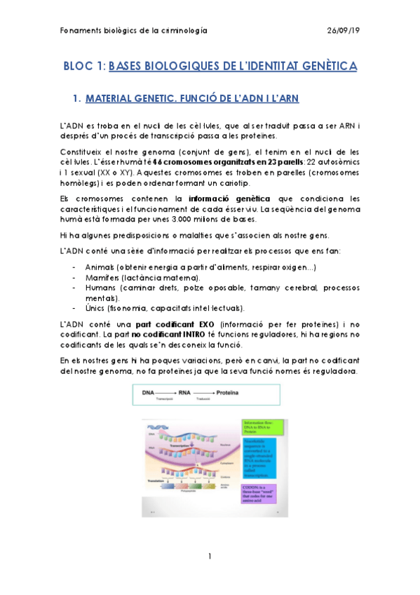 Miniatura del documento BLOC-1merged.pdf