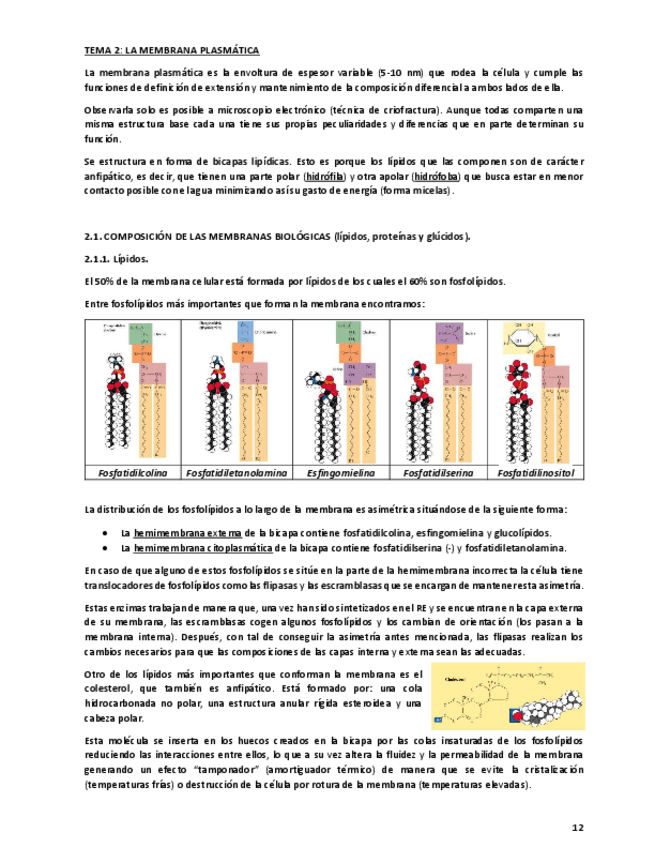 Miniatura del documento Tema-2.pdf