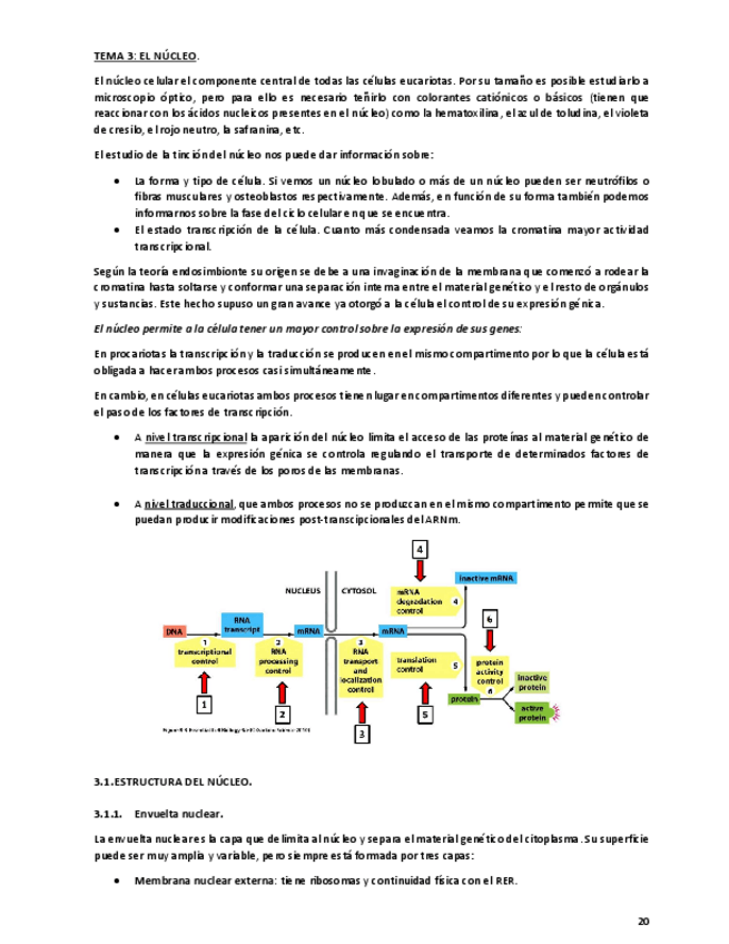 Miniatura del documento Tema-3.pdf