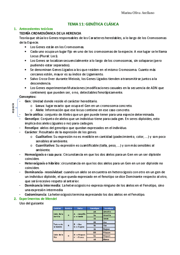Miniatura del documento Tema-11-Genetica-clasica.pdf