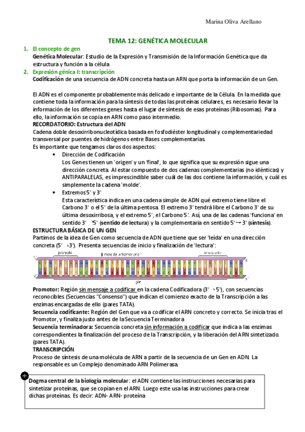 Miniatura del documento Tema-12-Genetica-molecular.pdf