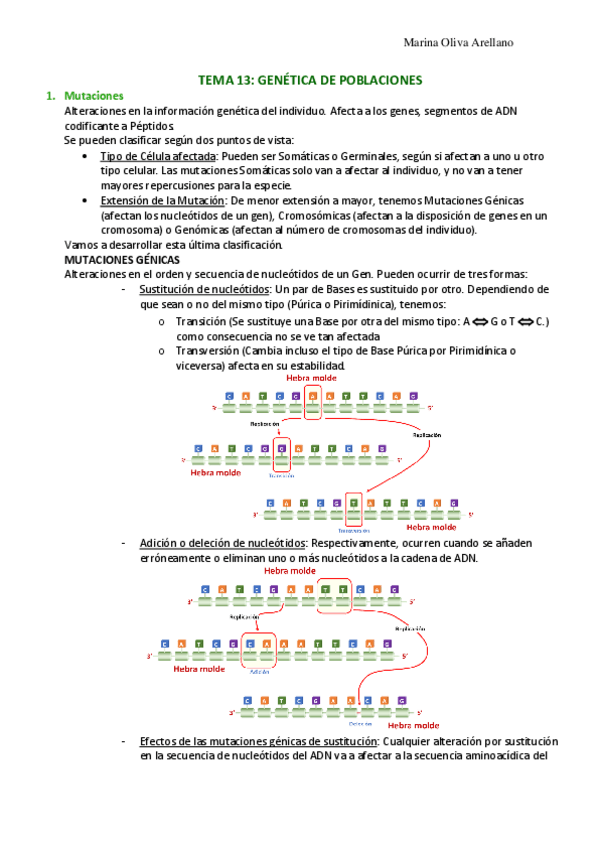 Miniatura del documento Tema-13-Genetica-de-poblaciones.pdf