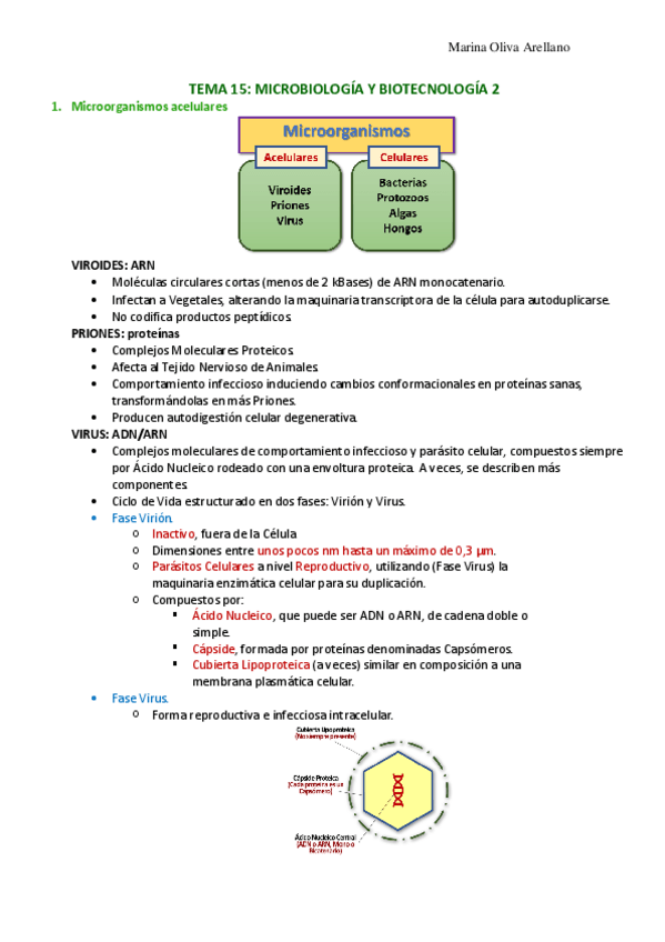 Miniatura del documento Tema-15-Microbiologia-y-biotecnologia-2.pdf