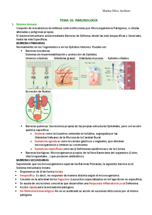 Miniatura del documento Tema-16-Inmunologia.pdf