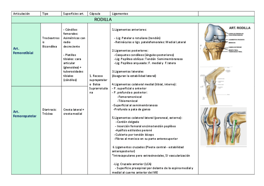 Miniatura del documento tabla-art.pdf
