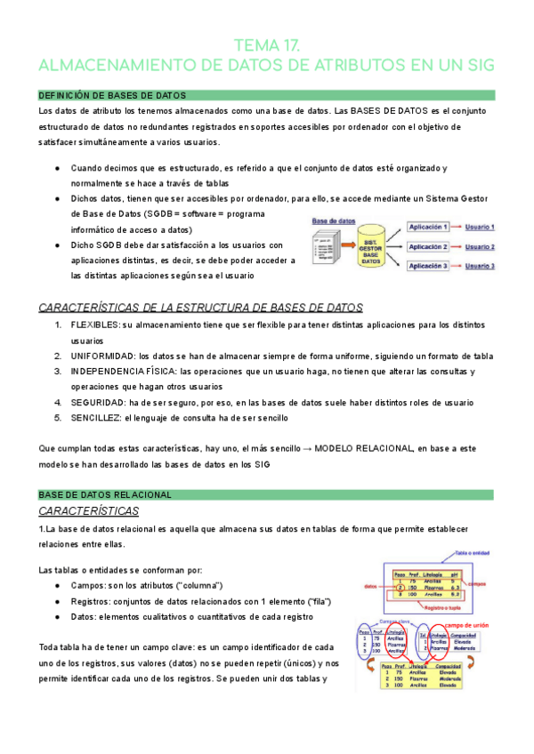 Miniatura del documento TEMA-17-SIG.pdf