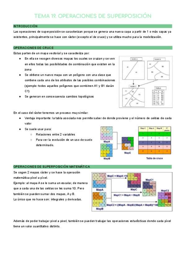 Miniatura del documento TEMA-19-SIG.pdf