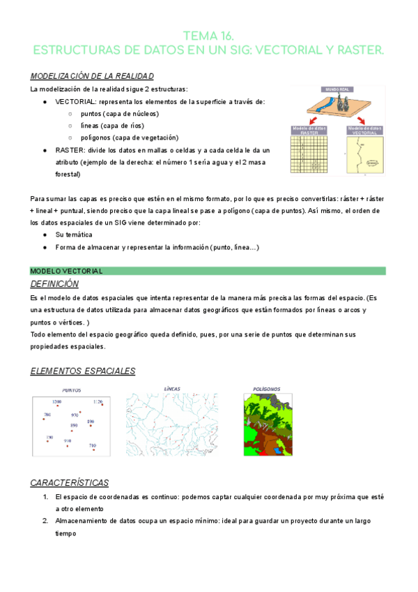 Miniatura del documento TEMA-16-SIG.pdf