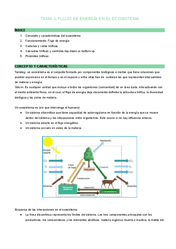 Miniatura del documento TEMA-3.pdf