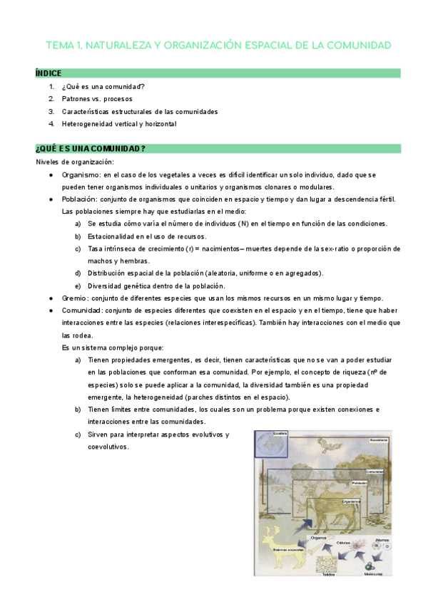 Miniatura del documento TEMA-1.pdf