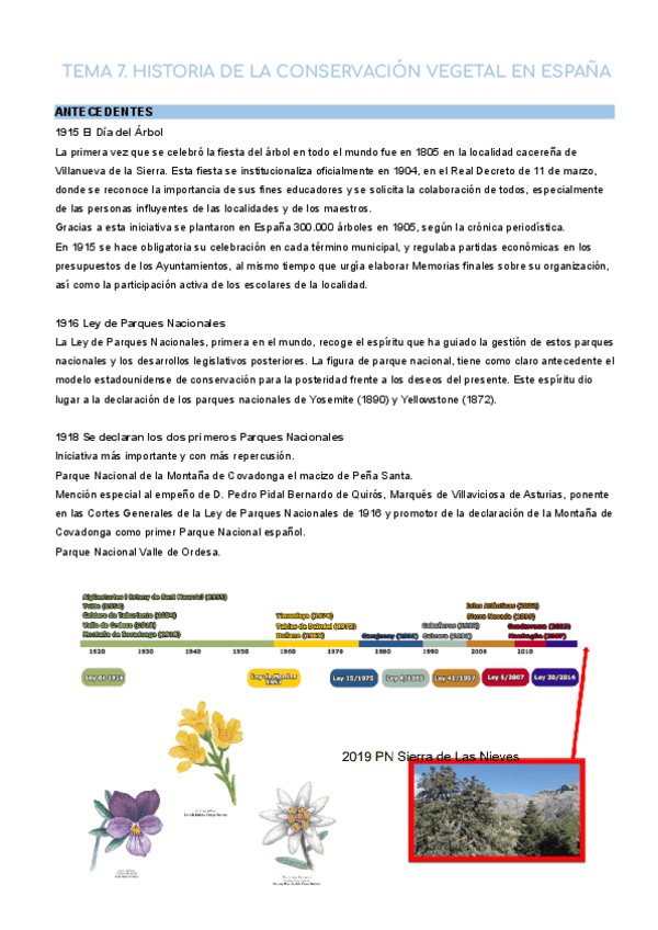 Miniatura del documento TEMA-7-y-8.pdf
