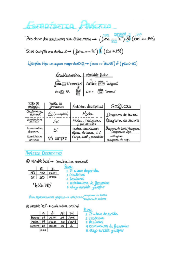 Miniatura del documento estadistica-practico.pdf