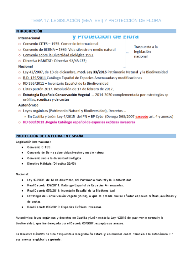 Miniatura del documento TEMA-17.pdf